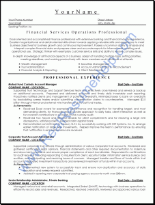 Real Resume Help Give Resume Sample For Financial Professional